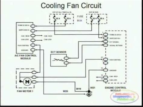 cooling fans wiring diagram youtube diagram print book cooling fan