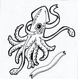 Colossal Squid sketch template