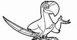 Paco Parrot Coloring sketch template