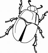 Coloring Insect Wecoloringpage Cartoon sketch template