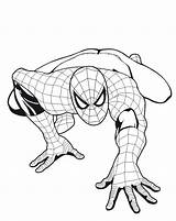 Coloring Spiderman Pages Spider Man Easy Marvel Boys Upside Down Hanging Face Amazing Head Printable Print Comics Color Getdrawings Getcolorings sketch template