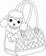 Poodle Caniche Coloriage Poedel Cane Barboncino Handbag Poodles Barbie sketch template