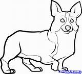 Corgi Drawing Line Drawings Coloring Pages Draw Dogs Dog Clipart Step Cliparts Colouring Popular Animal Dawn Paintingvalley Library Choose Board sketch template