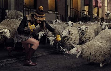 irti funny picture 889 tags girl punching sheep in face