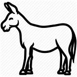Donkey Ass Mule Jackass Outline Icon Drawing Clipart Horse Animal Line Search Butt Engine Clip Transparent Cute Clipartmag Collection Pluspng sketch template