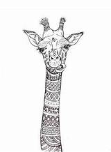 Giraffe Zentangle Maggi Giraffa Fiverr sketch template