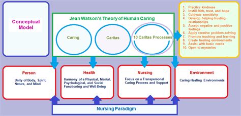 theoretical framework  nursing webframesorg