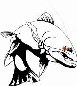 Trout Cutthroat Getdrawings sketch template