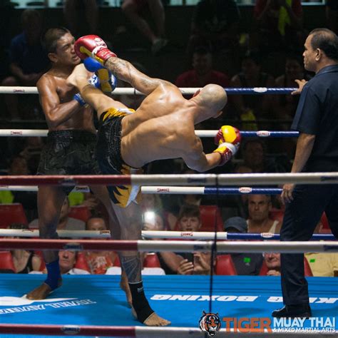fighting thai tiger muay thai and mma training camp guest fights july 8