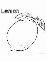 Fruit Lemons Citrus Widely Ingredients Coloriage Imprimir Amazingly sketch template