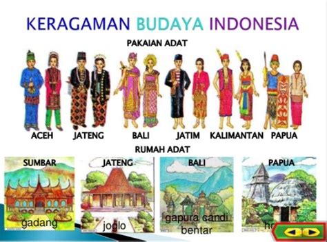 lengkap nama rumah adat pakaiantarian adat senjata tradisional provinsi indonesia