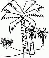 Palm Tree Coloring Pages Trees Coconut Drawing Outline Kids Print Printable Lot Easy Palms Line Getdrawings Beach Sheets Clipartbest Ikids sketch template