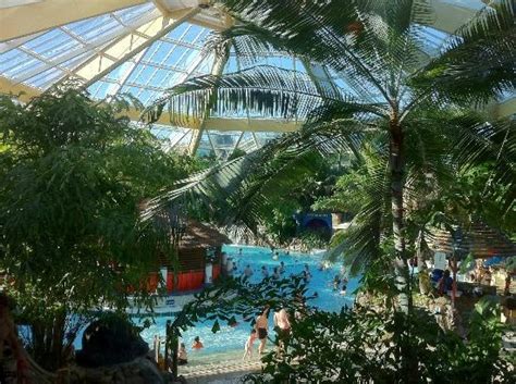 images  center parcs elveden forest  pinterest water playground cove