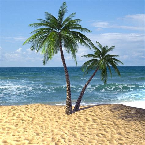 tropical palm tree 3d model in 2019 palm trees beach palm tree pictures palm trees