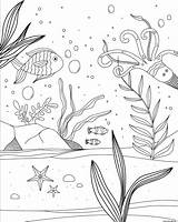Marin Algues Fond Poissons sketch template