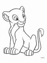 Nala Colorat Cub Websincloud Ausmalen Simba Leone Desene Leoni Stampare Animate Planse L4 Fargelegging Zeichnungen Bensinan sketch template