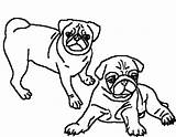 Pug Coloring Pages Printable Two Pugs Adult Clipart Print Dog Puppy Beautiful Drawing Cartoon Colouring Pig Color Kids Draw Getcolorings sketch template