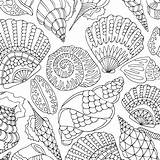 Seashells Zentangle sketch template