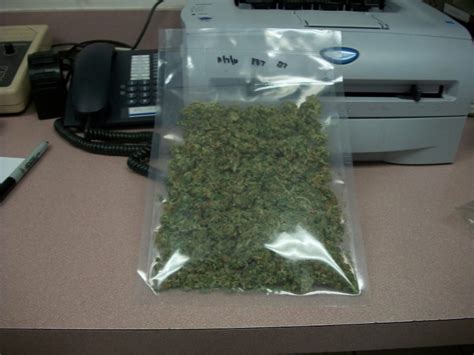 year  arrested    grams  marijuana gulfport fl patch