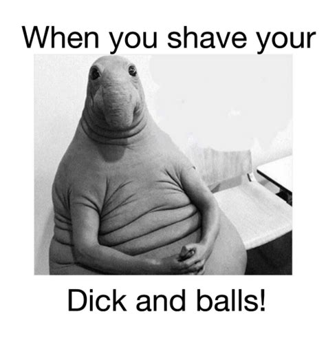 When You Shave Your Dick And Balls Funny Meme On Me Me