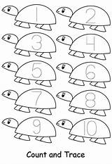 Number Preschool Turtles Tracing Coloring sketch template