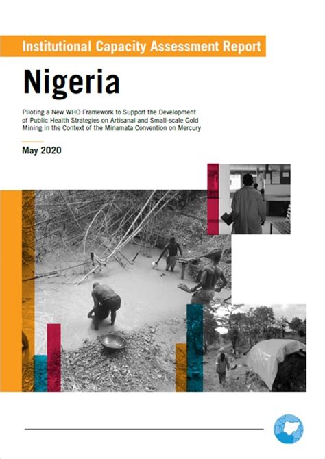 institutional capacity assessment report nigeria