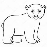 Polar Bear Coloring Baby Cute Pages Little Stock Drawing Illustration Vector Smiles Getdrawings Ya Mayka Depositphotos sketch template