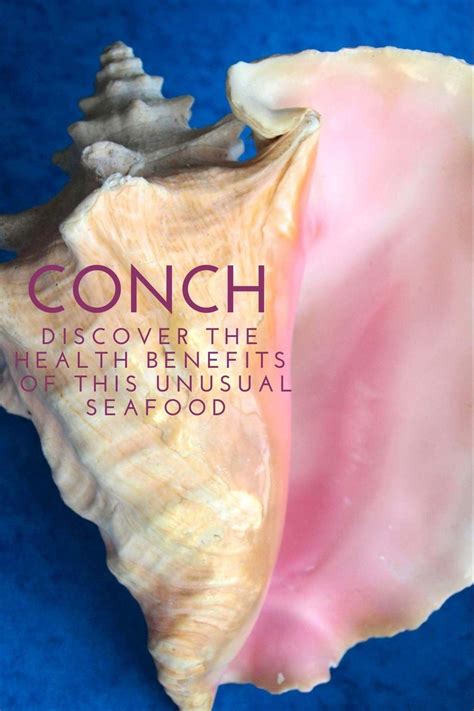 Conch Aphrodisiac And Health Benefits Eat Something Sexy