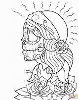 Skeleton sketch template