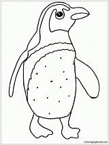 Pages Cute Little Penguin Coloring sketch template