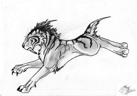 saber tooth tiger drawing sabertooth tiger  revie tiger drawing
