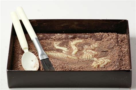 foodista jurassic chocolat kit lets  dig