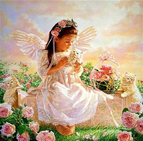 Yorkshire Rose Images Beautiful Angel Hd Wallpaper And