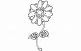 Dxf Flower Daisy  3axis sketch template