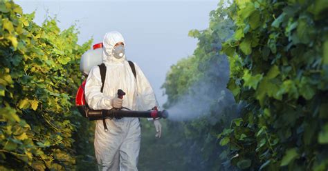 Seven Strategies To Reduce Pesticide Usage – Casaqa
