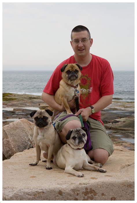 Sexy Men With Cute Pugs Page 6