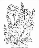 Blumen Malvorlage Ausmalen sketch template