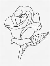 Lineart Rosen Tekenen Coloring Tekening Rozen Rosas Bud Broderie Bordados Tela Patrones sketch template