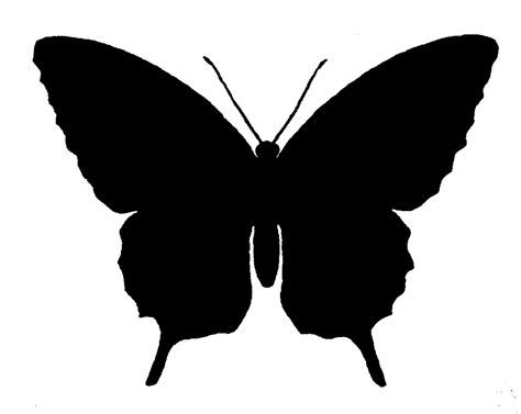 graphics monarch  butterfly silhouette image grayscale digital