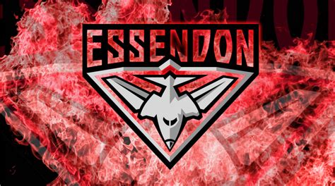 highs  lows   essendon bombers
