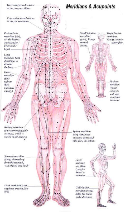 126 best meridian charts images on pinterest massage acupuncture points and traditional
