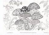Zentangle Mushrooms Doodle sketch template