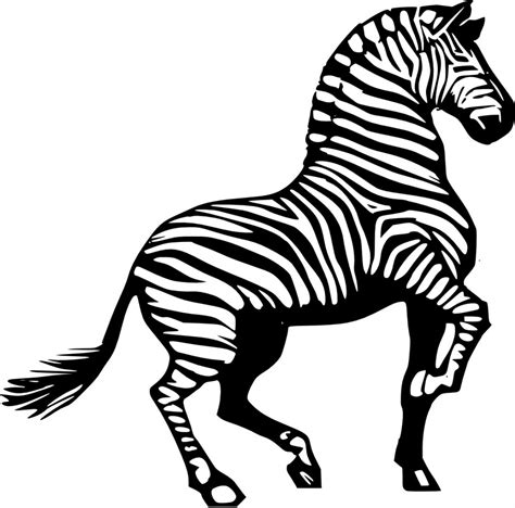 zebra coloring pages  kids image animal place