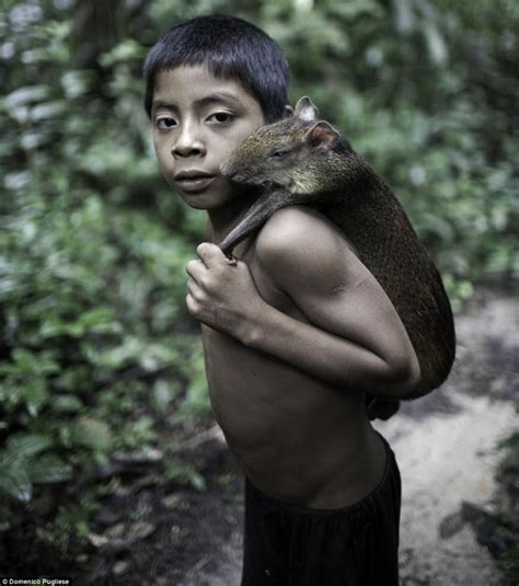 découvrez les magnifiques photos de la tribu awa au coeur de l