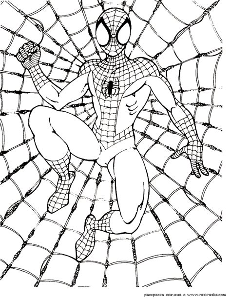 amazing spider man coloring pages