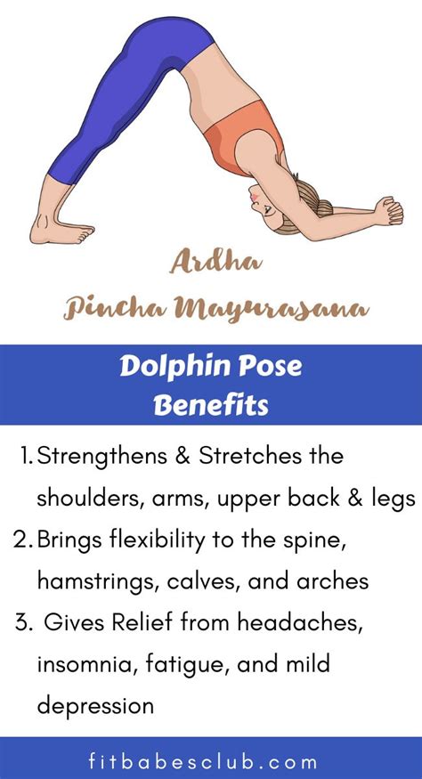 dolphin pose  benefits beginning yoga yoga facts yoga