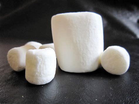 marshmallow  student wonders  medical training