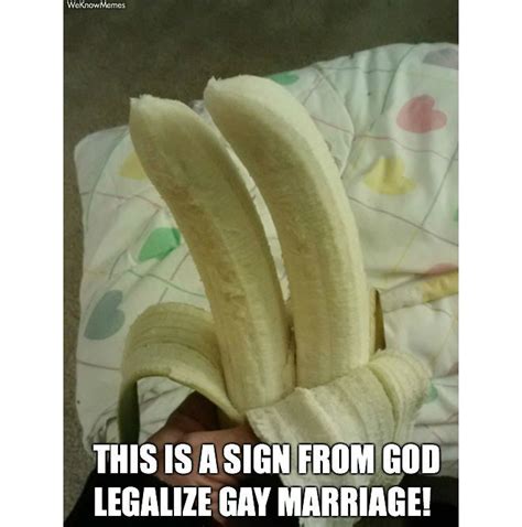 the 21 best memes celebrating the supreme court s same sex marriage ruling
