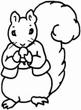 Squirrel Coloring Pages Nut Animals sketch template