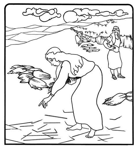 ruth   bible coloring pages    ruth pinterest